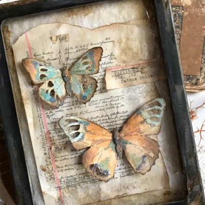 A Collection of Tattered Butterflies