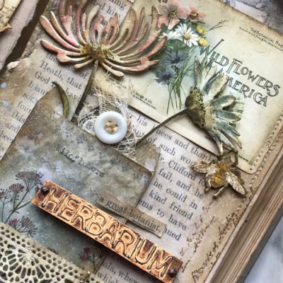 Altering a Vintage Book: A Botanist’s Collection