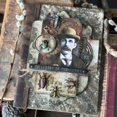 Collector of Curiosities